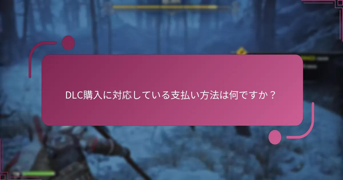 DLC購入に対応している支払い方法は何ですか？