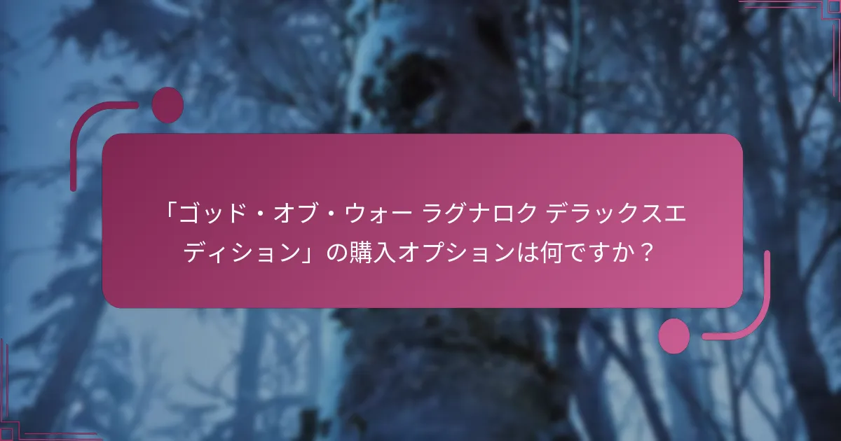 「ゴッド・オブ・ウォー ラグナロク デラックスエディション」の購入オプションは何ですか？