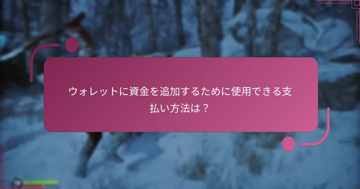 ウォレットに資金を追加するために使用できる支払い方法は？
